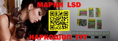 стафф Краснодар