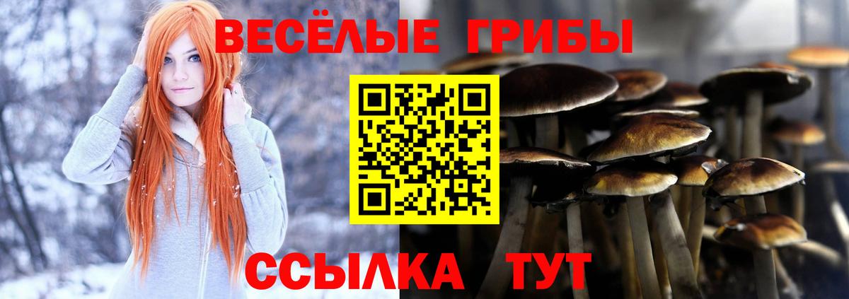 Галлюциногенные грибы прущие грибы  Псилоцибиновые грибы мицелий  наркота  Донецк  Вход с VPN 
